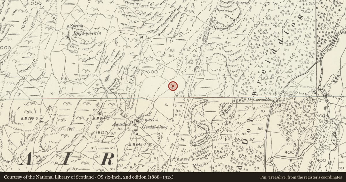 Ordnance Survey six-inch map, 2nd edition (1888–1913) covering the location of Field Barn at Gerddi Bluog, Llanfair, Gwynedd, with a pin at the register's coordinates
