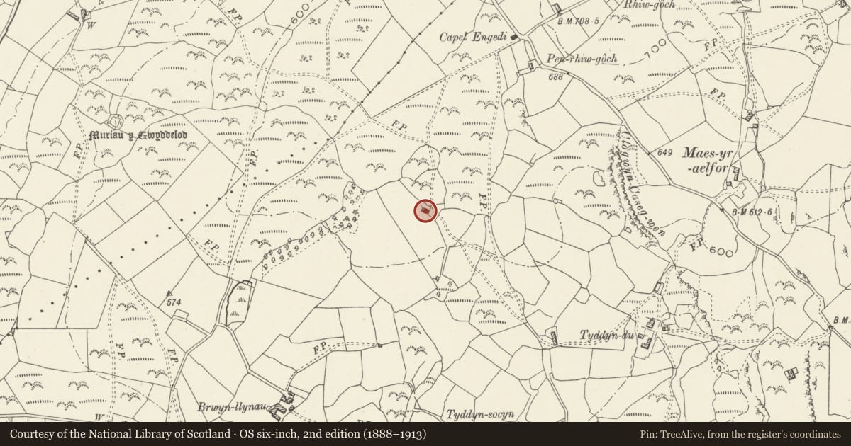 Ordnance Survey six-inch map, 2nd edition (1888–1913) covering the location of Field Barn, Llanfair, Gwynedd, with a pin at the register's coordinates