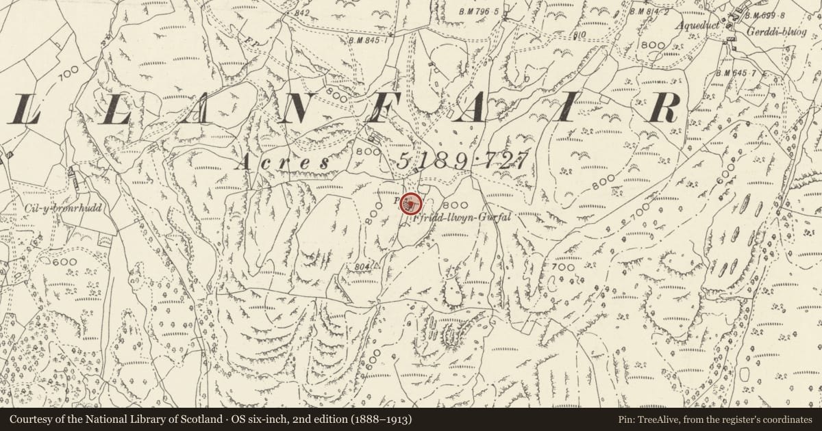 Ordnance Survey six-inch map, 2nd edition (1888–1913) covering the location of Fridd Farm, Llanfair, Gwynedd, with a pin at the register's coordinates