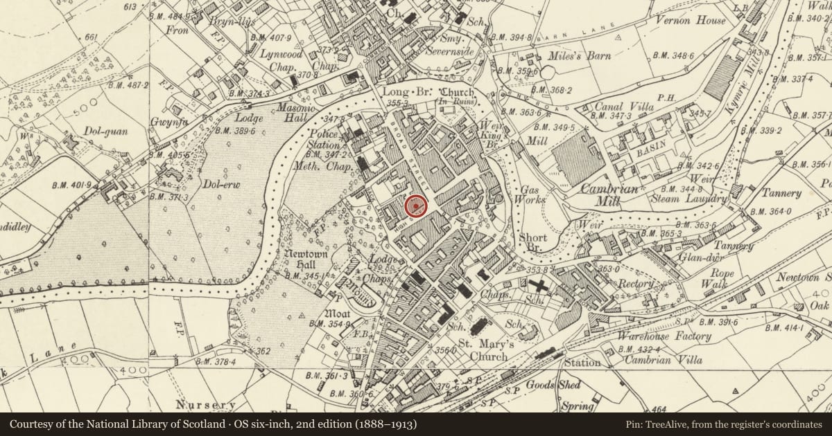 Ordnance Survey six-inch map, 2nd edition (1888–1913) covering the location of W H Smith, Newtown and Llanllwchaiarn, Powys, with a pin at the register's coordinates
