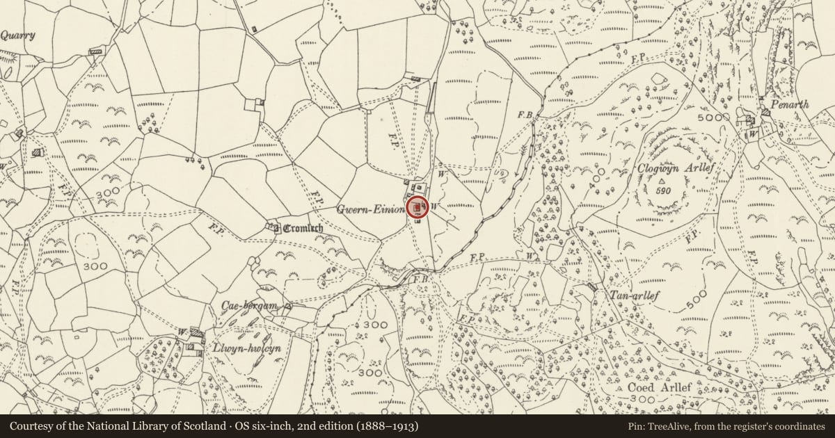 Ordnance Survey six-inch map, 2nd edition (1888–1913) covering the location of Gwern Einion, Llanfair, Gwynedd, with a pin at the register's coordinates