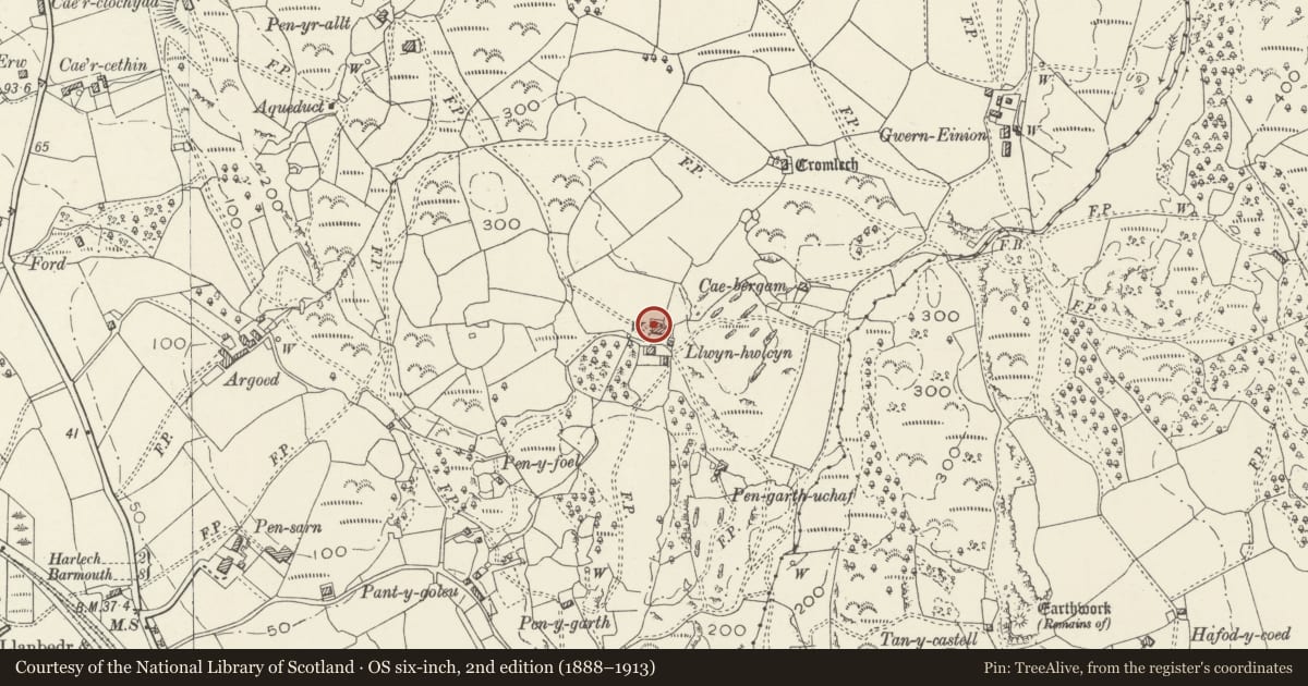 Ordnance Survey six-inch map, 2nd edition (1888–1913) covering the location of Haybarn at Llwyn Hwlcyn, Llanfair, Gwynedd, with a pin at the register's coordinates