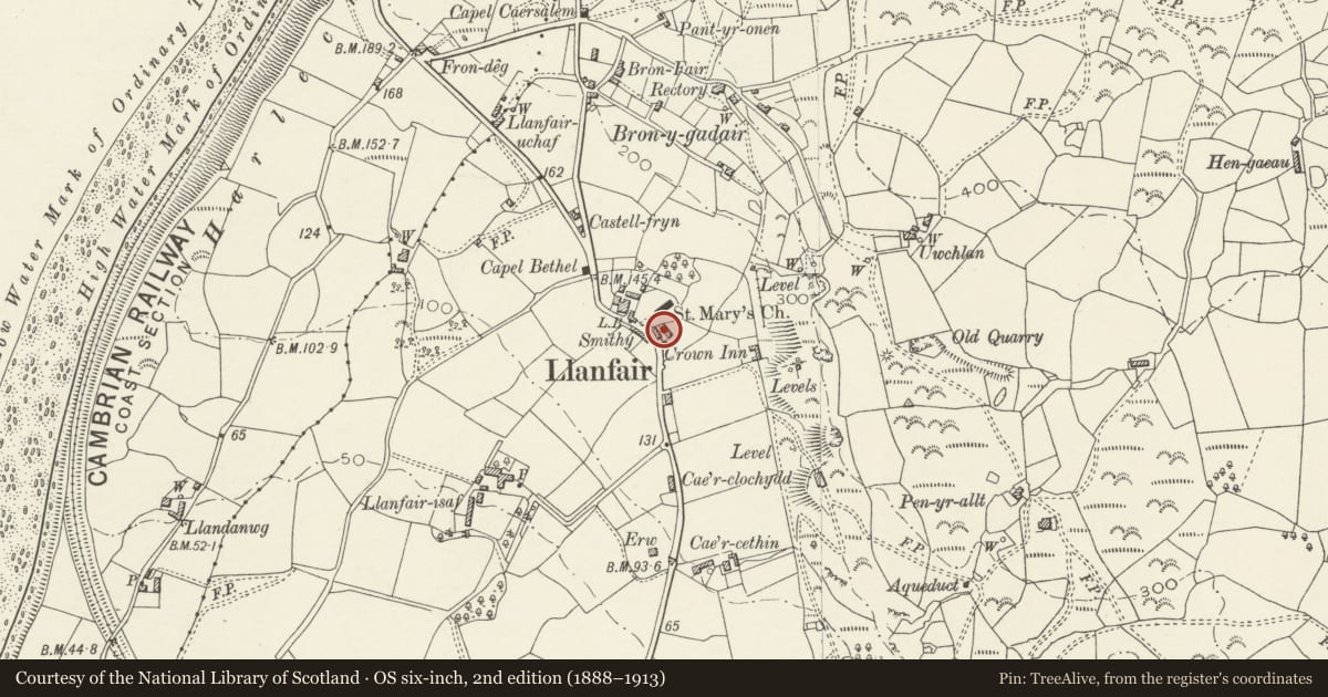 Ordnance Survey six-inch map, 2nd edition (1888–1913) covering the location of Outbuilding to rear of Ty'n Llan, Llanfair, Gwynedd, with a pin at the register's coordinates