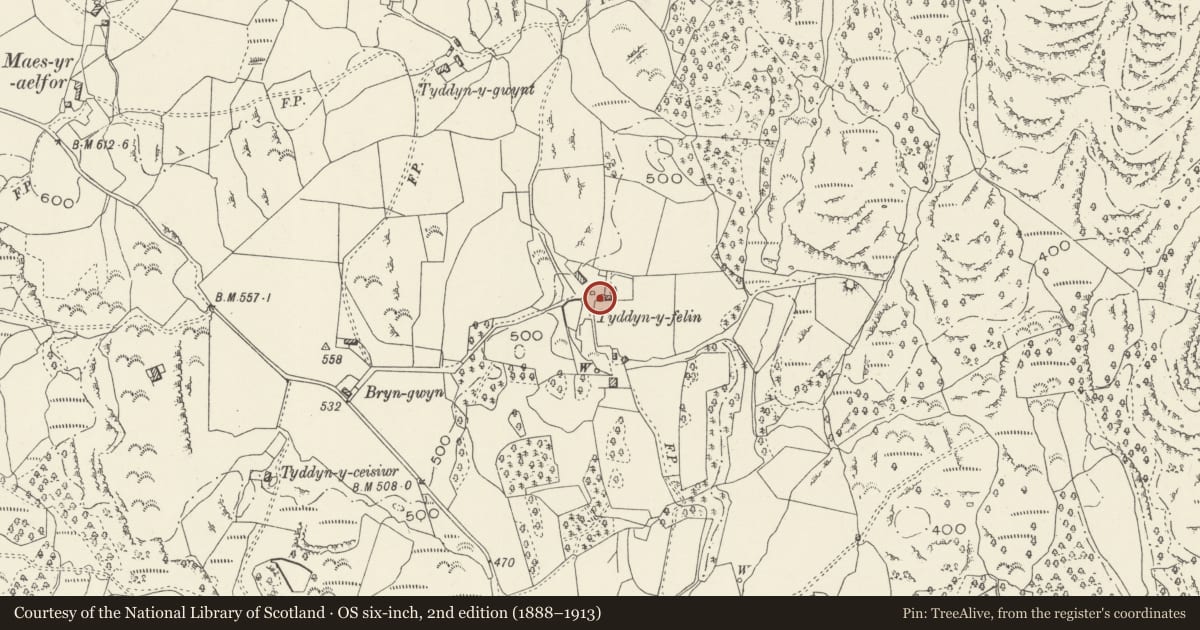 Ordnance Survey six-inch map, 2nd edition (1888–1913) covering the location of Cwt Gwyddau, Llanfair, Gwynedd, with a pin at the register's coordinates