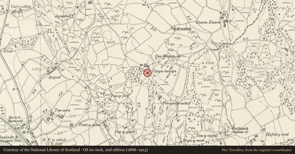 Ordnance Survey six-inch map, 2nd edition (1888–1913) covering the location of Pigsty range at Llwyn Hwlcyn, Llanfair, Gwynedd, with a pin at the register's coordinates