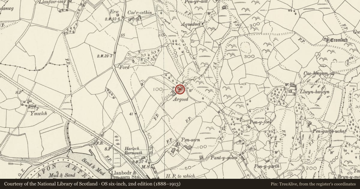 Ordnance Survey six-inch map, 2nd edition (1888–1913) covering the location of Stable and cartshed range at Argoed, Llanfair, Gwynedd, with a pin at the register's coordinates