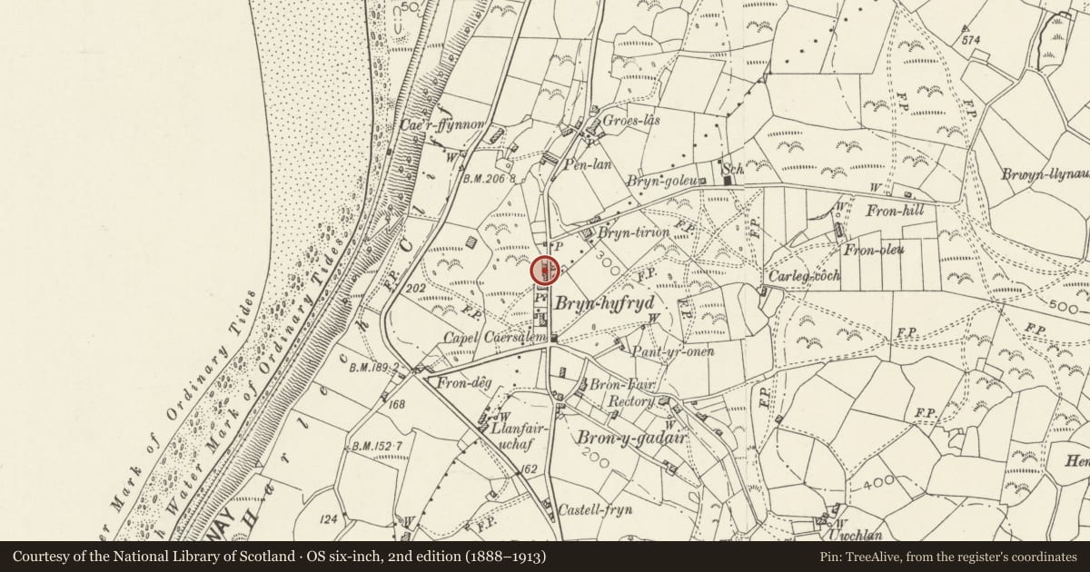 Ordnance Survey six-inch map, 2nd edition (1888–1913) covering the location of Tan y Buarth and Prysg, Llanfair, Gwynedd, with a pin at the register's coordinates