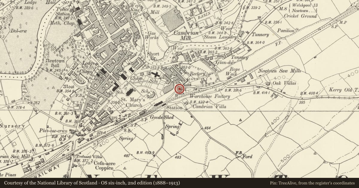 Ordnance Survey six-inch map, 2nd edition (1888–1913) covering the location of Agriculture House, Newtown and Llanllwchaiarn, Powys, with a pin at the register's coordinates