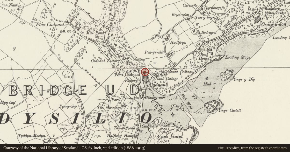 Ordnance Survey six-inch map, 2nd edition (1888–1913) covering the location of Bridge over Afon Cadnant (partly in Menai Bridge community), Cwm Cadnant, Isle of Anglesey, with a pin at the register's coordinates