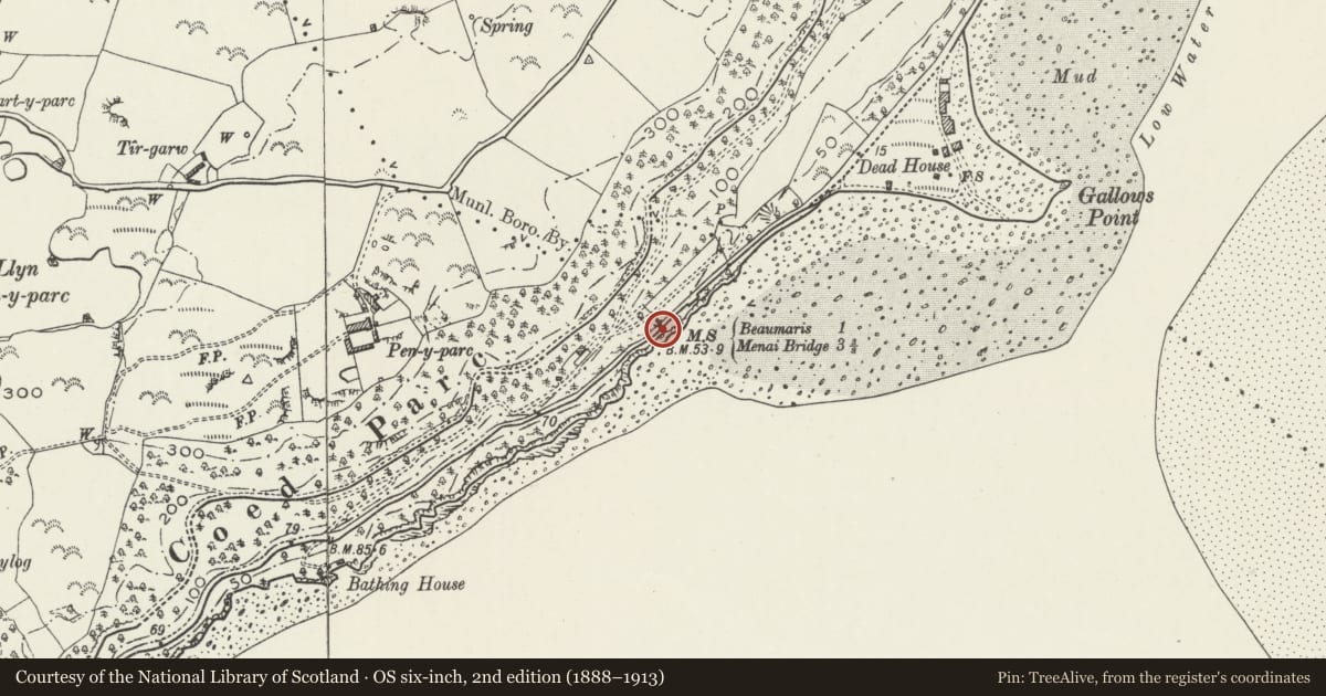 Ordnance Survey six-inch map, 2nd edition (1888–1913) covering the location of Milestone by Gallows Point, Cwm Cadnant, Isle of Anglesey, with a pin at the register's coordinates