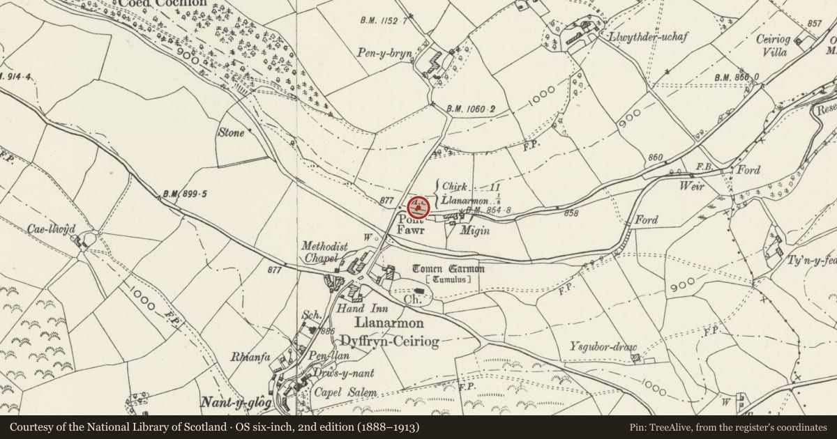 Ordnance Survey six-inch map, 2nd edition (1888–1913) covering the location of Milestone to NE of Llanarmon Dyffryn Ceiriog, Ceiriog Ucha, Wrexham, with a pin at the register's coordinates
