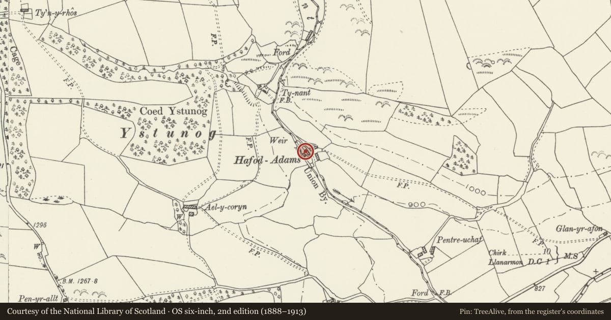 Ordnance Survey six-inch map, 2nd edition (1888–1913) covering the location of Secondary Dwelling at Hafod Adams, Ceiriog Ucha, Wrexham, with a pin at the register's coordinates