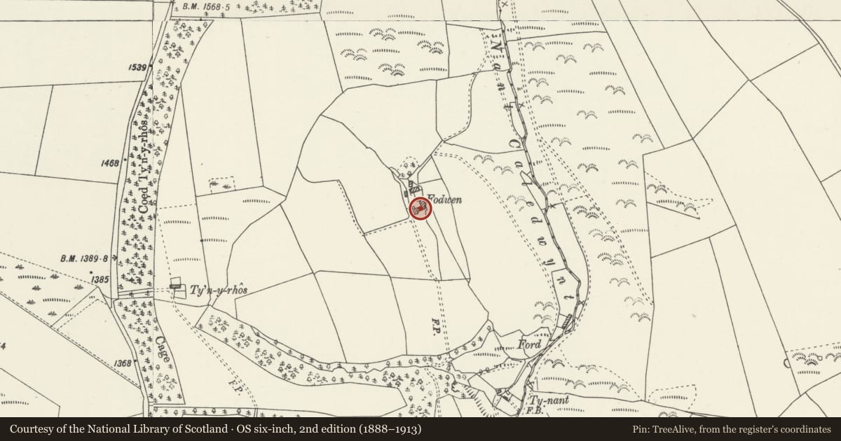Ordnance Survey six-inch map, 2nd edition (1888–1913) covering the location of Cow-house with adjoining cart-shed S of Fodwen, Ceiriog Ucha, Wrexham, with a pin at the register's coordinates