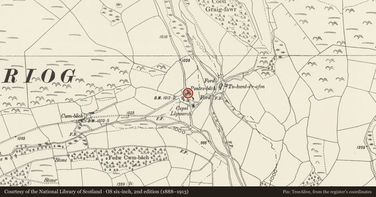 Ordnance Survey six-inch map, 2nd edition (1888–1913) covering the location of Pentre Bach, Ceiriog Ucha, Wrexham, with a pin at the register's coordinates