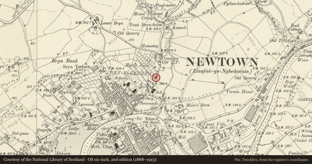 Ordnance Survey six-inch map, 2nd edition (1888–1913) covering the location of 11 Llanfair Road, Newtown and Llanllwchaiarn, Powys, with a pin at the register's coordinates