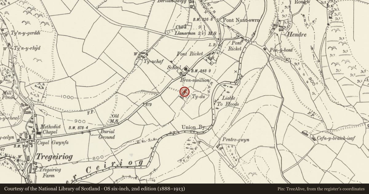 Ordnance Survey six-inch map, 2nd edition (1888–1913) covering the location of Ty-du, Ceiriog Ucha, Wrexham, with a pin at the register's coordinates