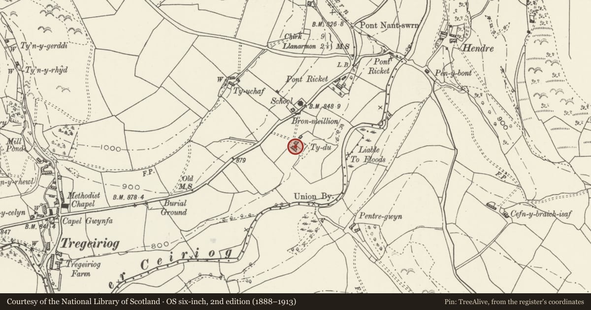 Ordnance Survey six-inch map, 2nd edition (1888–1913) covering the location of Cart-shed and granary to W of Ty-du Farmhouse, Ceiriog Ucha, Wrexham, with a pin at the register's coordinates