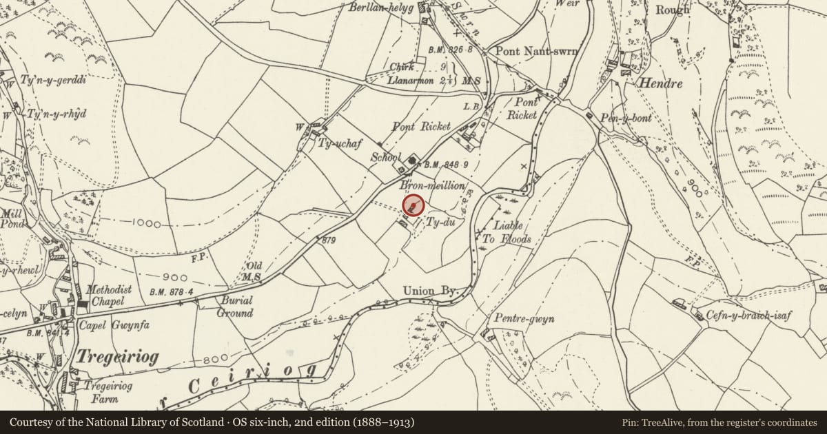 Ordnance Survey six-inch map, 2nd edition (1888–1913) covering the location of Service Building to E of Ty-du Farmhouse, Ceiriog Ucha, Wrexham, with a pin at the register's coordinates
