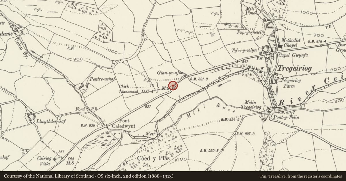 Ordnance Survey six-inch map, 2nd edition (1888–1913) covering the location of Milestone to W of Tregeiriog, Ceiriog Ucha, Wrexham, with a pin at the register's coordinates