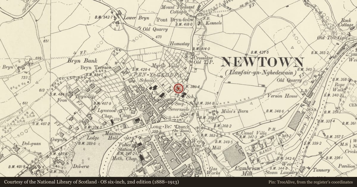 Ordnance Survey six-inch map, 2nd edition (1888–1913) covering the location of 15 Llanfair Road, Newtown and Llanllwchaiarn, Powys, with a pin at the register's coordinates