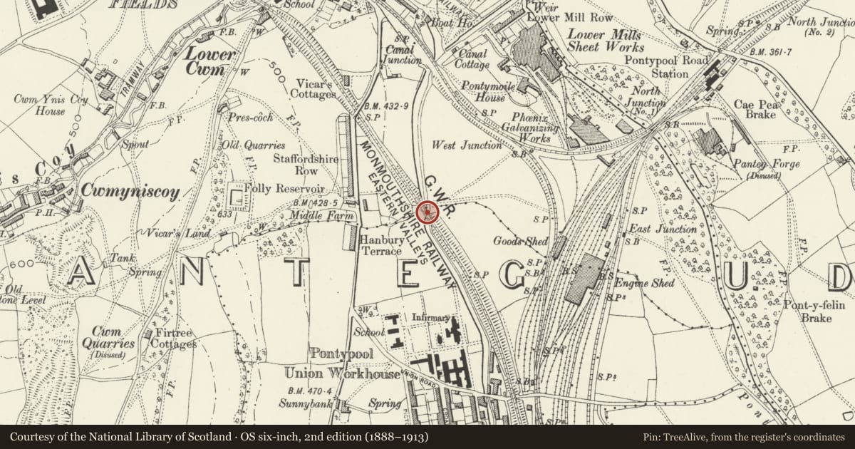 Ordnance Survey six-inch map, 2nd edition (1888–1913) covering the location of Old railway bridge at Coed-y-Gric (partly in Pontymoile community), Panteg, Torfaen, with a pin at the register's coordinates