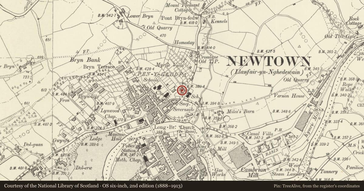 Ordnance Survey six-inch map, 2nd edition (1888–1913) covering the location of 18 Llanfair Road, Newtown and Llanllwchaiarn, Powys, with a pin at the register's coordinates