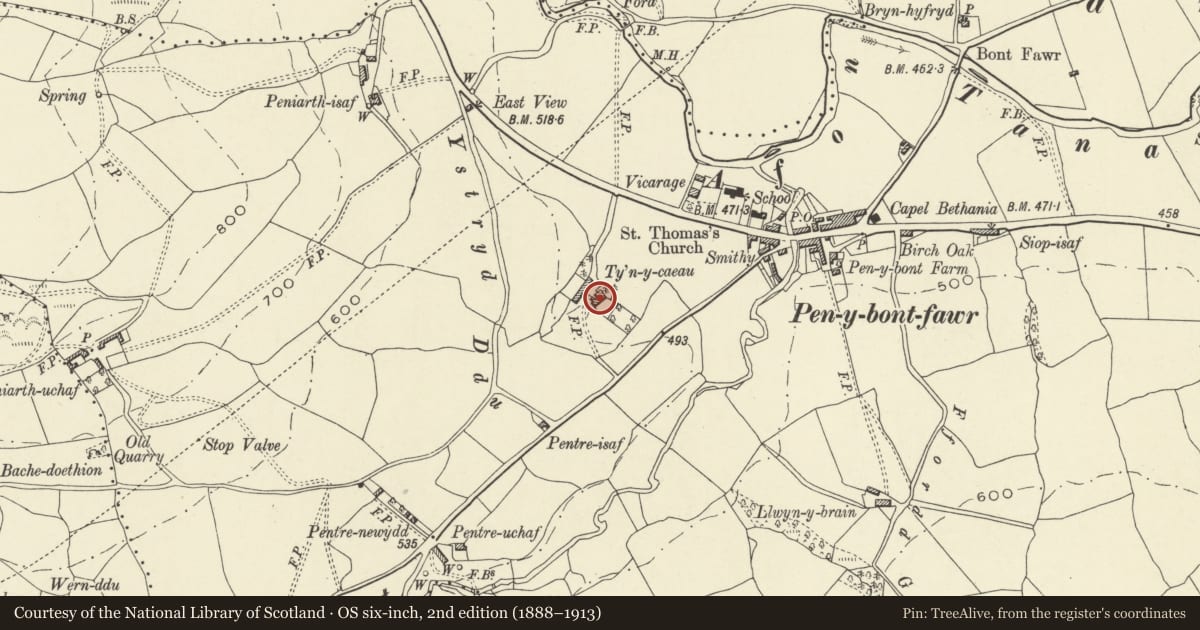 Ordnance Survey six-inch map, 2nd edition (1888–1913) covering the location of Ty'n-y-caeau, Pen-y-bont-Fawr, Powys, with a pin at the register's coordinates
