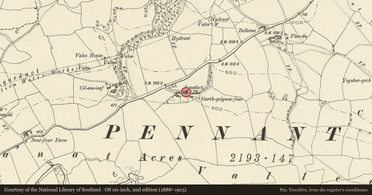 Ordnance Survey six-inch map, 2nd edition (1888–1913) covering the location of Arllen-fawr (formerly Garthgelynen-fawr), Pen-y-bont-Fawr, Powys, with a pin at the register's coordinates