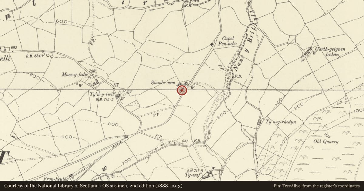 Ordnance Survey six-inch map, 2nd edition (1888–1913) covering the location of Siambr-wen, Pen-y-bont-Fawr, Powys, with a pin at the register's coordinates