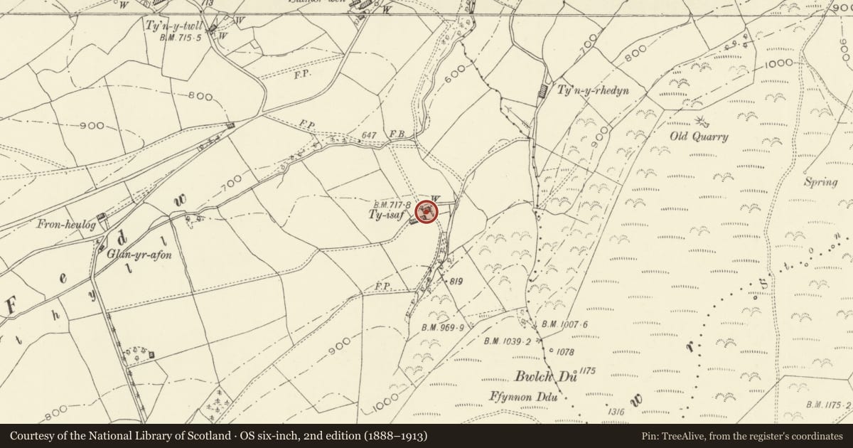 Ordnance Survey six-inch map, 2nd edition (1888–1913) covering the location of Ty-isaf farmhouse, Pen-y-bont-Fawr, Powys, with a pin at the register's coordinates