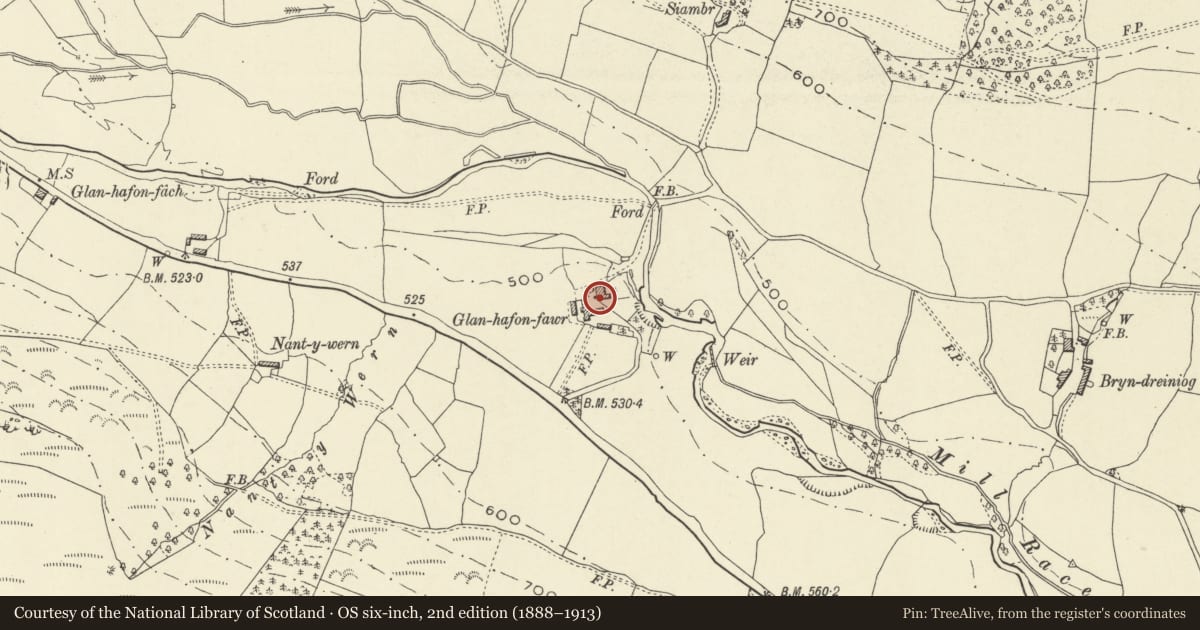 Ordnance Survey six-inch map, 2nd edition (1888–1913) covering the location of Glanhafan-fawr farmhouse, Pen-y-bont-Fawr, Powys, with a pin at the register's coordinates