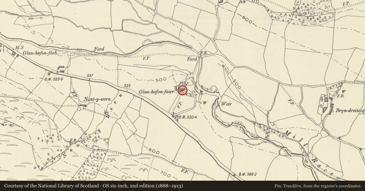 Ordnance Survey six-inch map, 2nd edition (1888–1913) covering the location of Barn at Glanhafan-fawr, Pen-y-bont-Fawr, Powys, with a pin at the register's coordinates