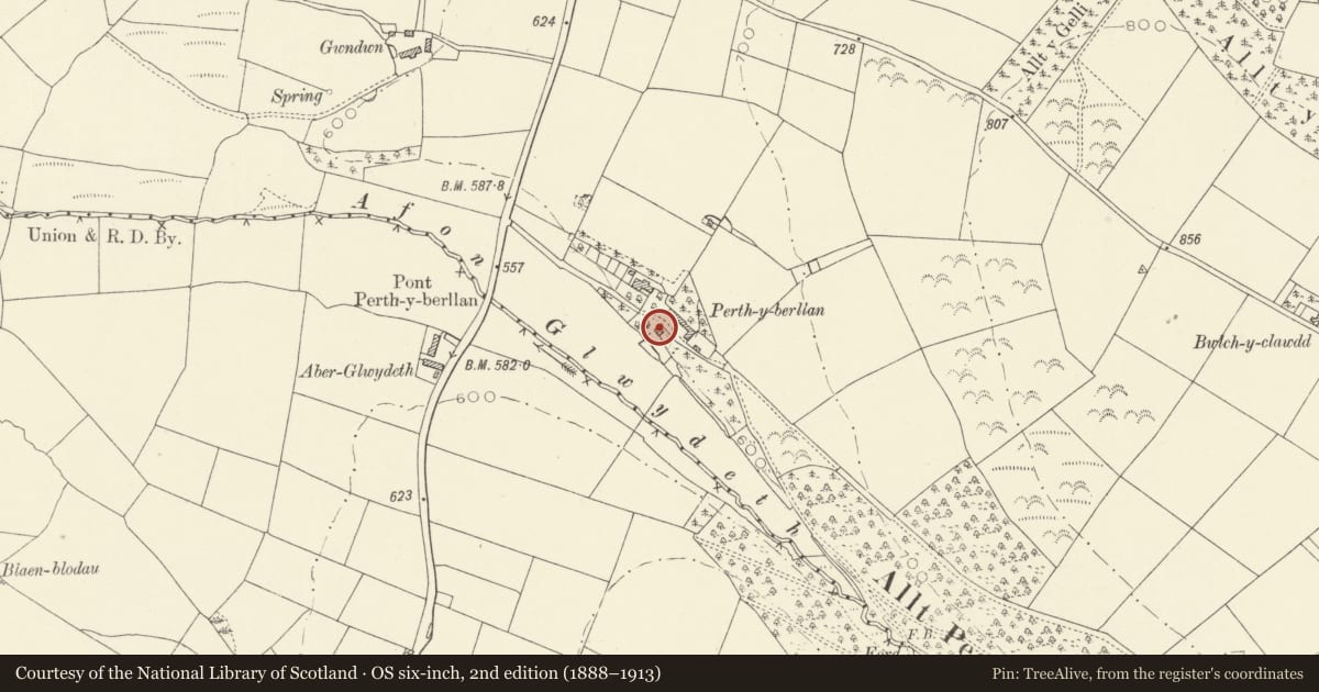 Ordnance Survey six-inch map, 2nd edition (1888–1913) covering the location of Animal house at Perthyberllan, Llanllwni, Carmarthenshire, with a pin at the register's coordinates