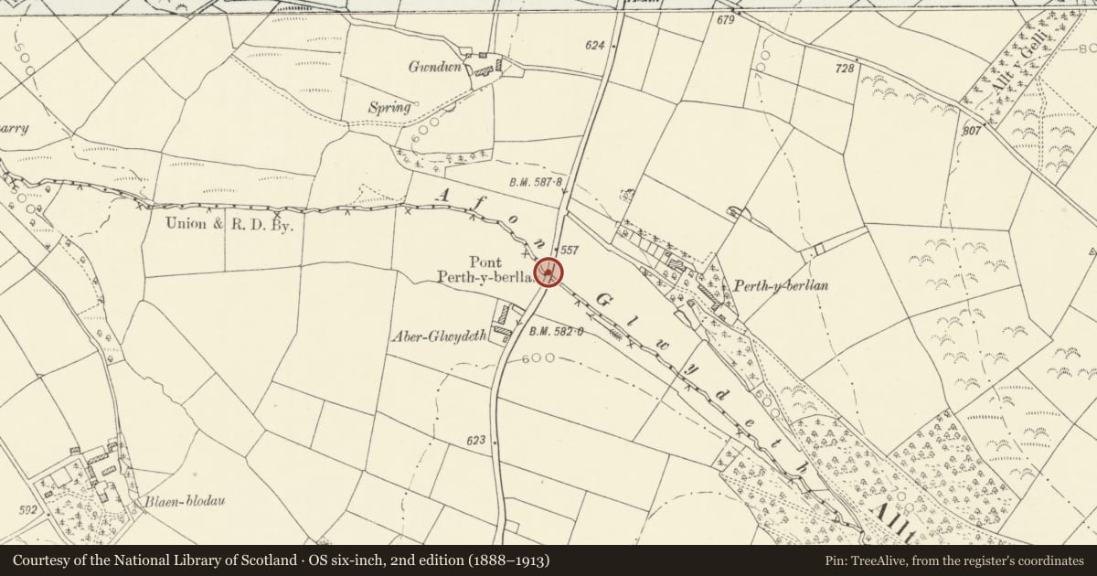 Ordnance Survey six-inch map, 2nd edition (1888–1913) covering the location of Perthyberllan bridge marker stone (partly in Llanfihangel ar Arth community), Llanllwni, Carmarthenshire, with a pin at the register's coordinates