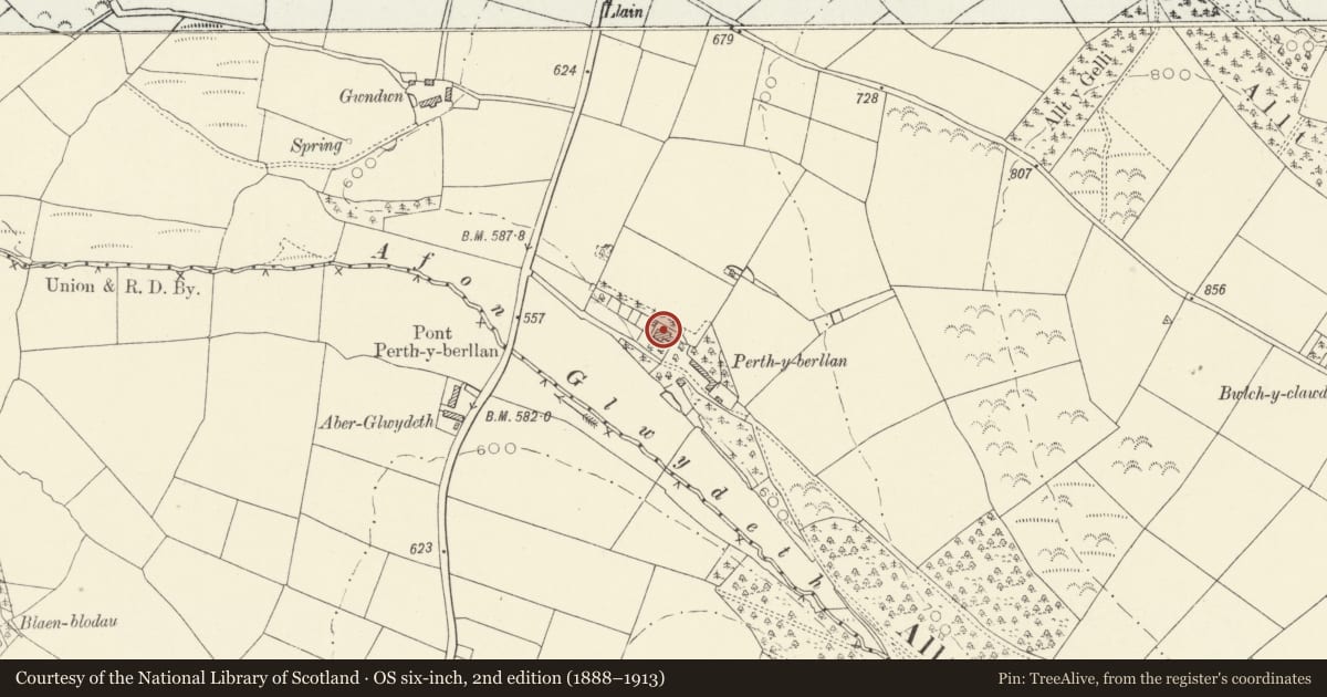 Ordnance Survey six-inch map, 2nd edition (1888–1913) covering the location of Old house at Perthyberllan, Llanllwni, Carmarthenshire, with a pin at the register's coordinates