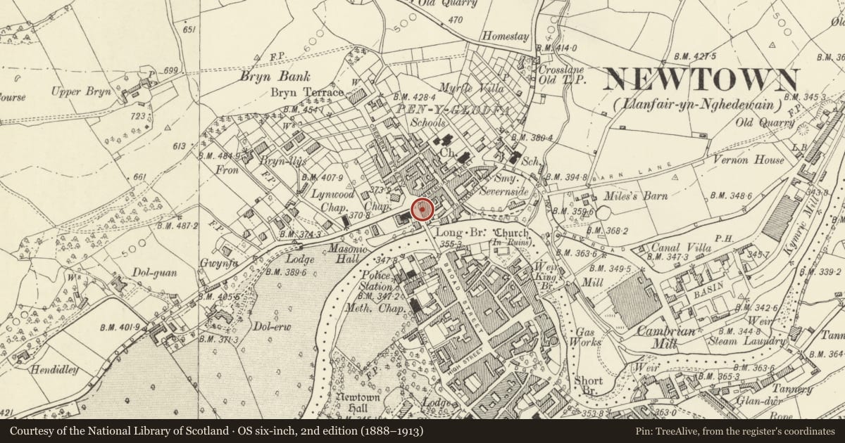 Ordnance Survey six-inch map, 2nd edition (1888–1913) covering the location of Bryn Hafren, Newtown and Llanllwchaiarn, Powys, with a pin at the register's coordinates