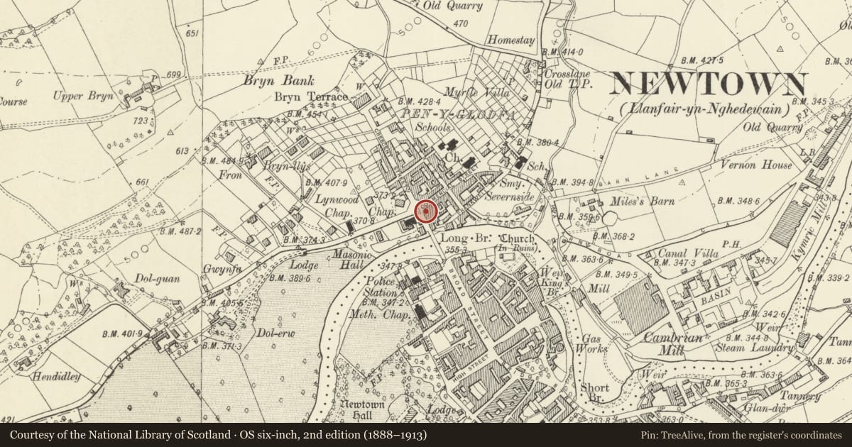 Ordnance Survey six-inch map, 2nd edition (1888–1913) covering the location of Bronlwyd, Newtown and Llanllwchaiarn, Powys, with a pin at the register's coordinates