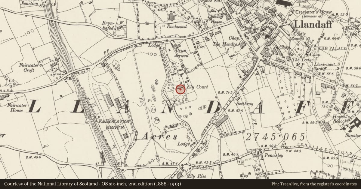 Ordnance Survey six-inch map, 2nd edition (1888–1913) covering the location of Flight of Steps from Upper to Lower Terrace at Insole Court, Llandaff, Cardiff, with a pin at the register's coordinates