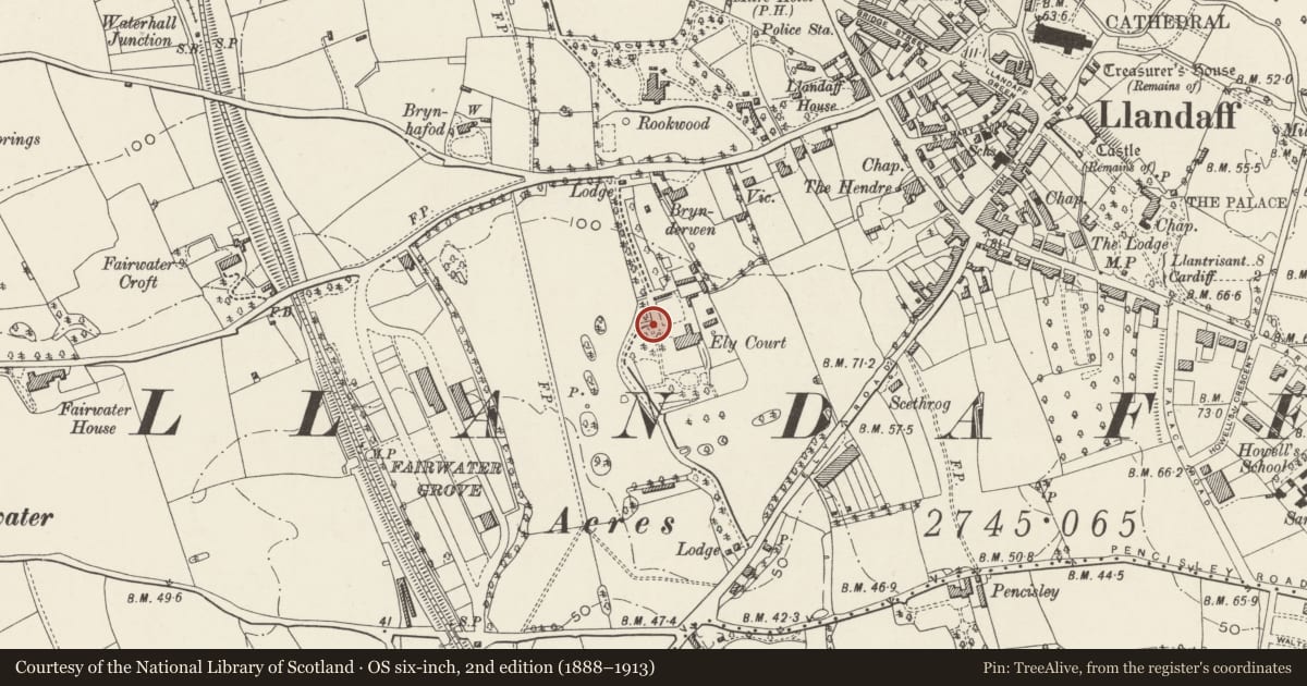 Ordnance Survey six-inch map, 2nd edition (1888–1913) covering the location of Gatepiers and Wing Walls on main Carriage Drive at Insole Court, Llandaff, Cardiff, with a pin at the register's coordinates