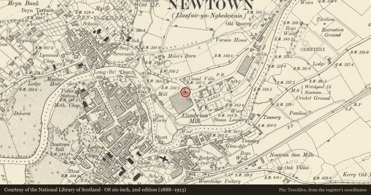 Ordnance Survey six-inch map, 2nd edition (1888–1913) covering the location of Cambrian House, Newtown and Llanllwchaiarn, Powys, with a pin at the register's coordinates