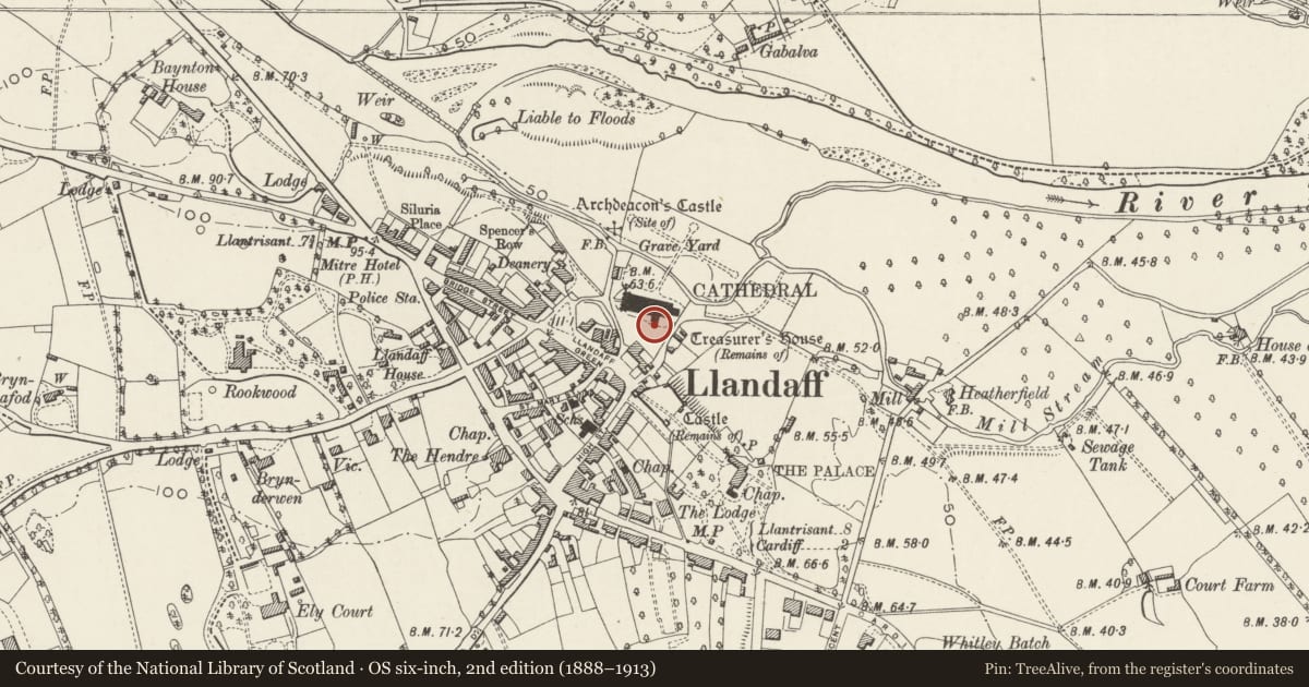 Ordnance Survey six-inch map, 2nd edition (1888–1913) covering the location of Memorial Cross to Dean William Conybeare, Llandaff, Cardiff, with a pin at the register's coordinates