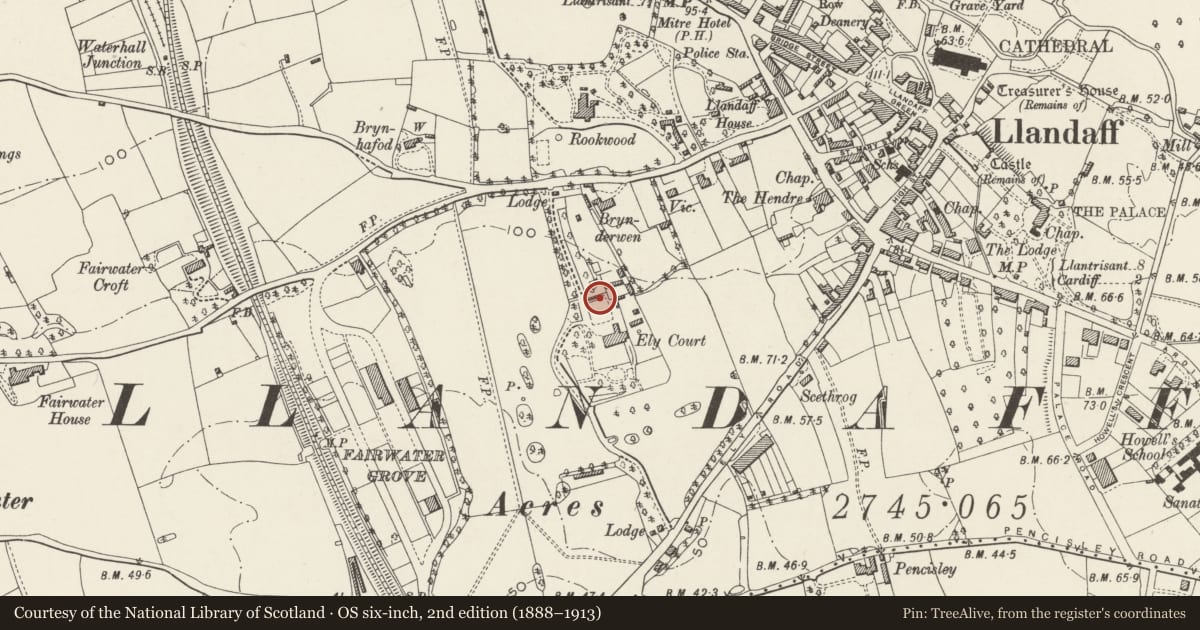 Ordnance Survey six-inch map, 2nd edition (1888–1913) covering the location of Rock Arch at Insole Court, Llandaff, Cardiff, with a pin at the register's coordinates