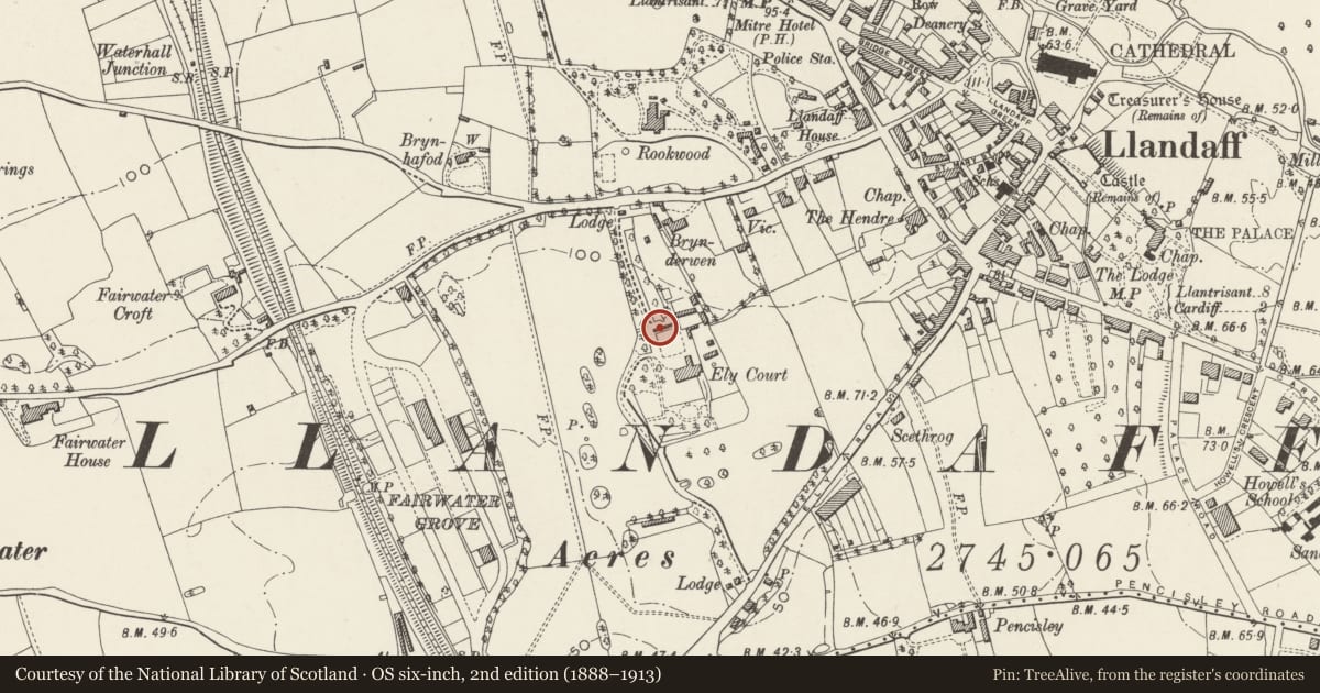 Ordnance Survey six-inch map, 2nd edition (1888–1913) covering the location of Wall on rear drive at Insole Court, Llandaff, Cardiff, with a pin at the register's coordinates