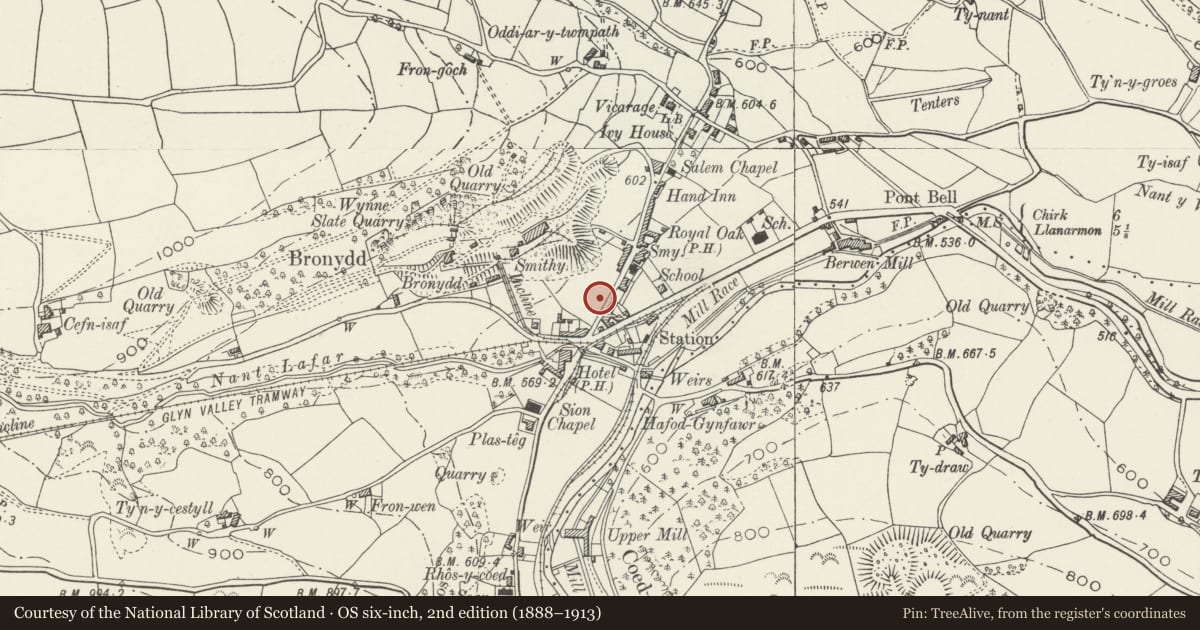 Ordnance Survey six-inch map, 2nd edition (1888–1913) covering the location of Ceiriog Memorial Institute including retaining wall and railings, Llansantffraid Glyn Ceiriog, Wrexham, with a pin at the register's coordinates