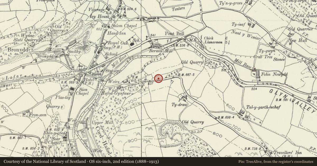 Ordnance Survey six-inch map, 2nd edition (1888–1913) covering the location of Grave Monument to Rev Robert Ellis (Cynddelw), Llansantffraid Glyn Ceiriog, Wrexham, with a pin at the register's coordinates