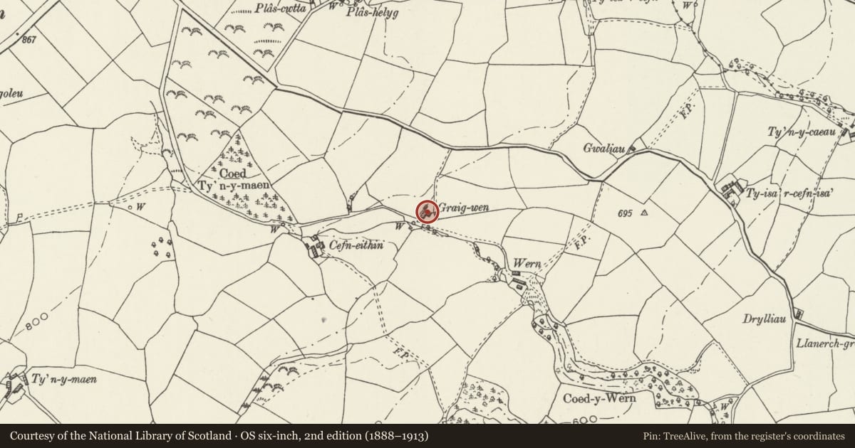 Ordnance Survey six-inch map, 2nd edition (1888–1913) covering the location of Graig-wen and attached agricultural range, Derwen, Denbighshire, with a pin at the register's coordinates