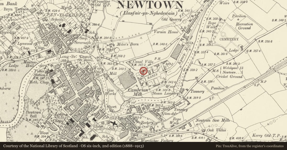 Ordnance Survey six-inch map, 2nd edition (1888–1913) covering the location of 6 Lower Canal Road, Newtown and Llanllwchaiarn, Powys, with a pin at the register's coordinates