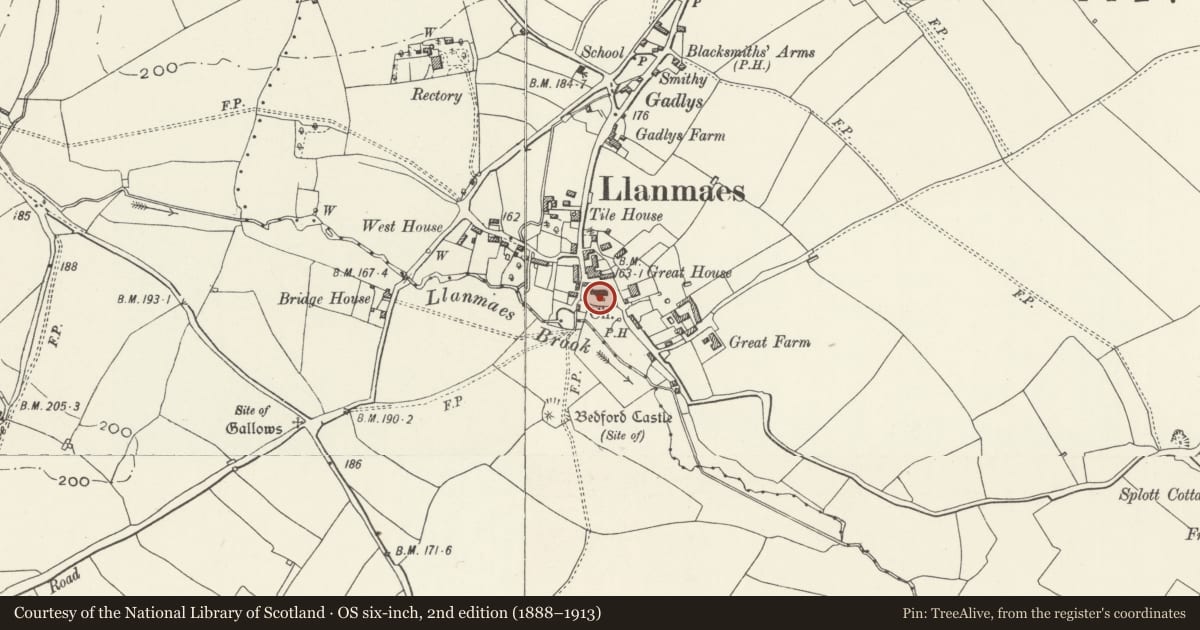 Ordnance Survey six-inch map, 2nd edition (1888–1913) covering the location of Cross in Churchyard of Church of St Cattwg, Llan-Maes, Vale of Glamorgan, with a pin at the register's coordinates