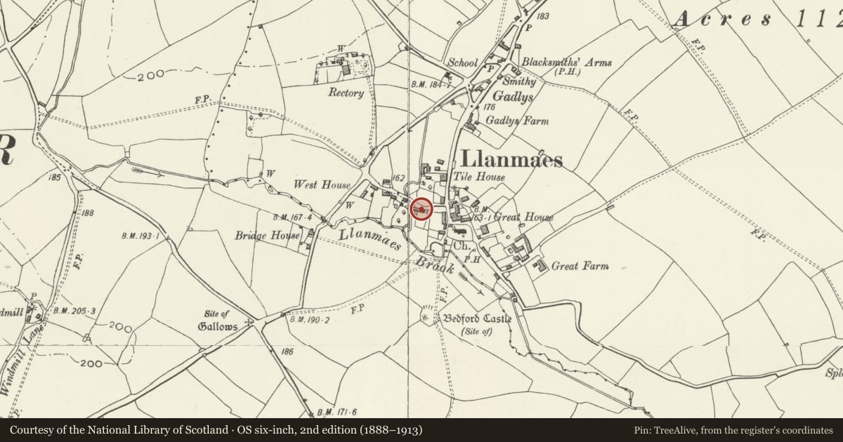 Ordnance Survey six-inch map, 2nd edition (1888–1913) covering the location of Plaisted Cottage, Llan-Maes, Vale of Glamorgan, with a pin at the register's coordinates