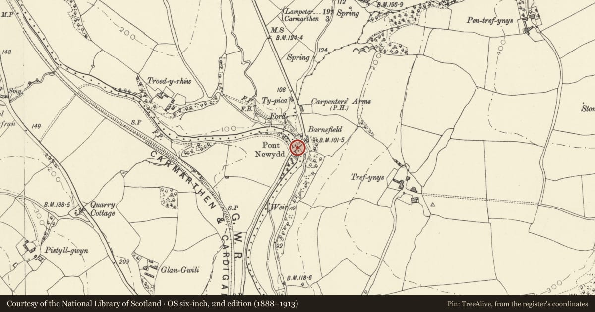 Ordnance Survey six-inch map, 2nd edition (1888–1913) covering the location of Pont Newydd, Bronwydd, Carmarthenshire, with a pin at the register's coordinates